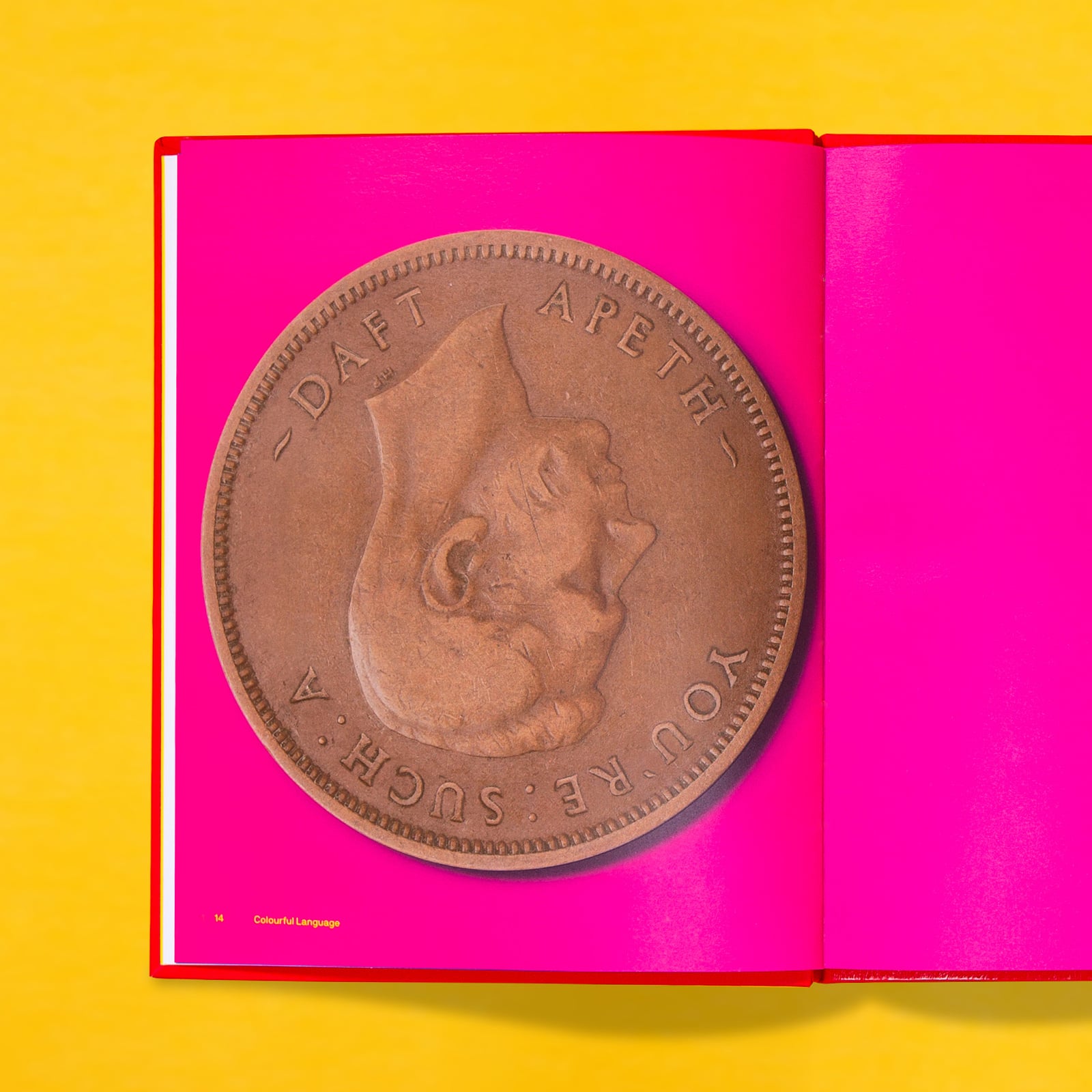 Colourful Language - Coin spread