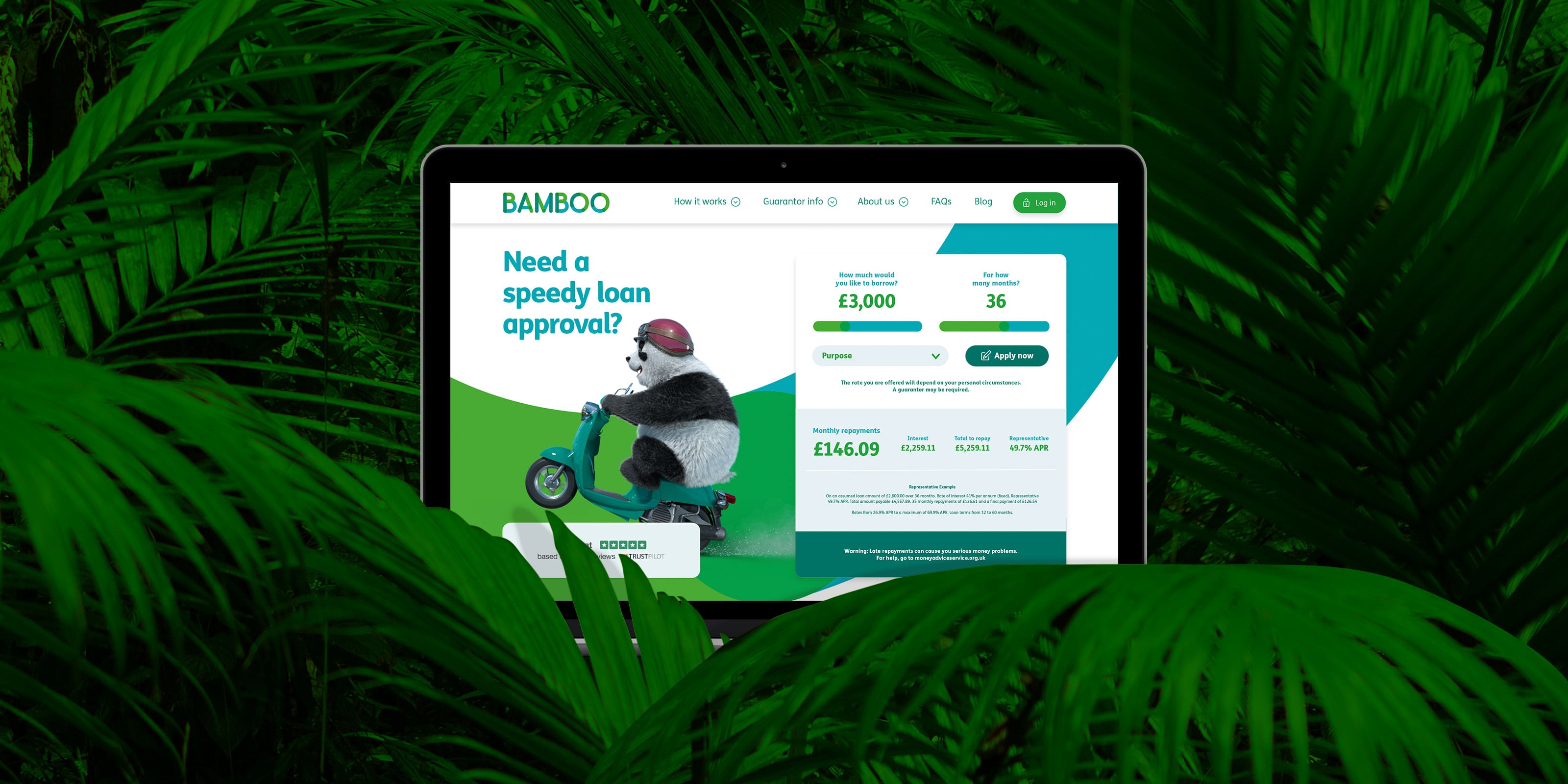 Bamboo Loans