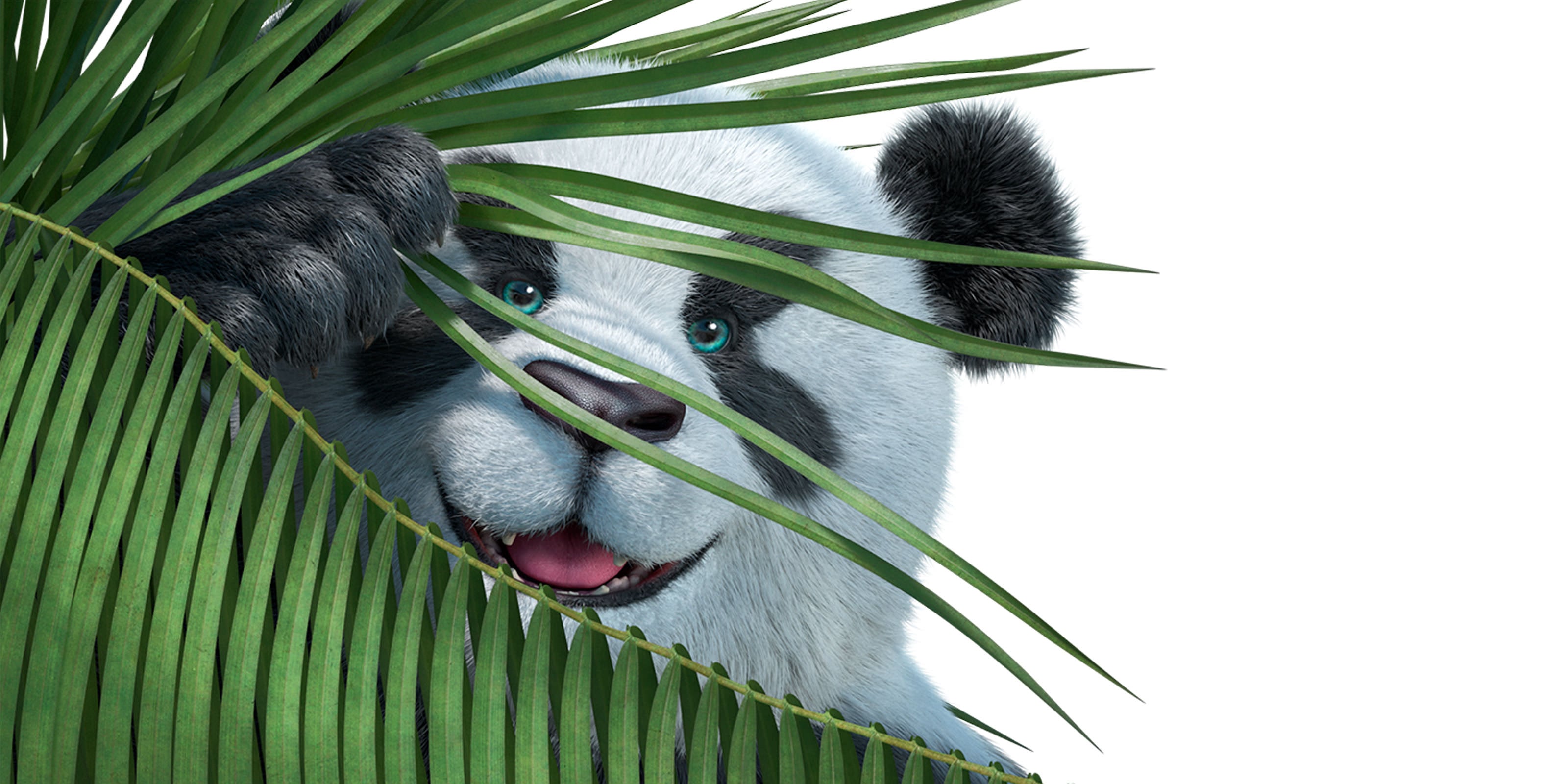Bamboo Loans