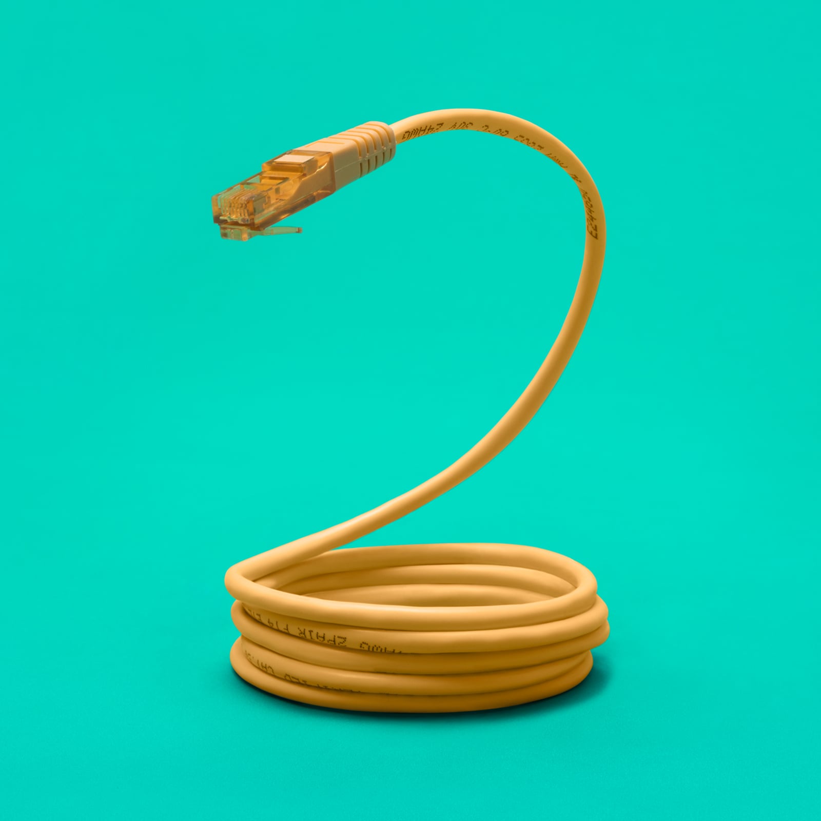 The object photography was shot at our in-house photography studio