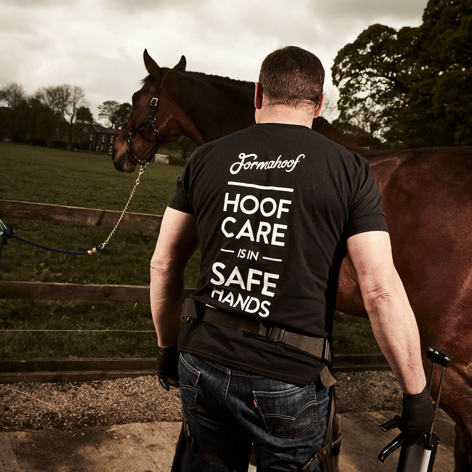 Farrier with horse at stables - Formahoof - hoof care is in safe hands