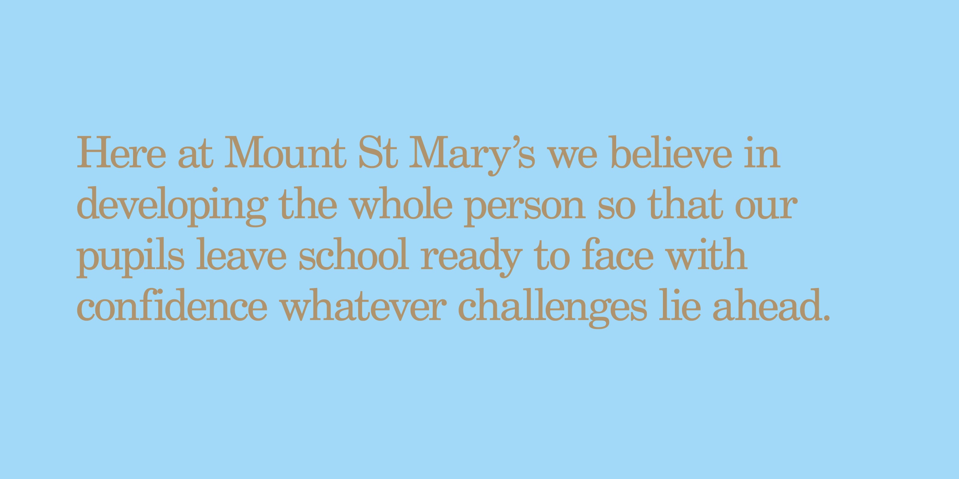 A clean and simple message to not over-complicate the message of the prospectus