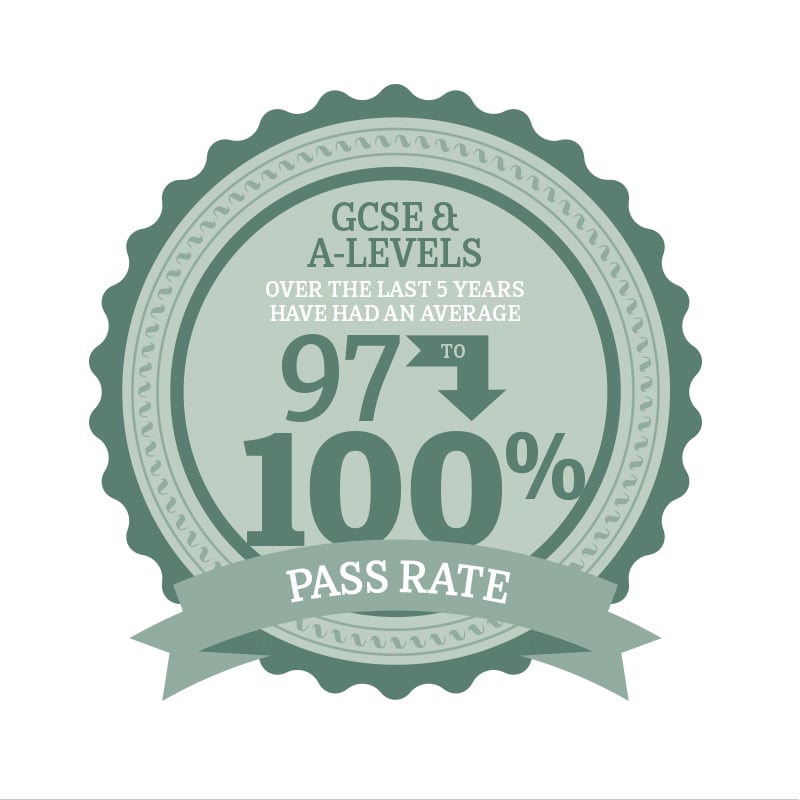 We provided unique graphics and assets for use on the website to add character