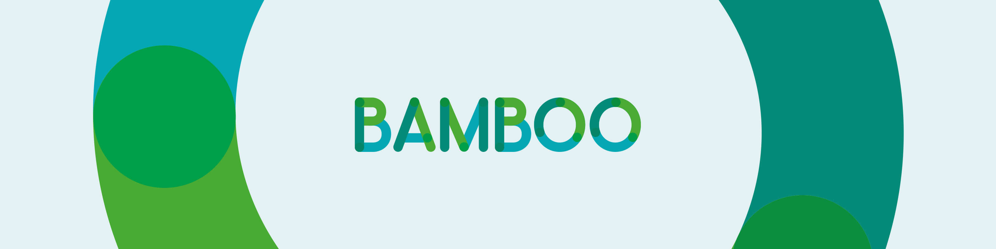 Bamboo Loans
