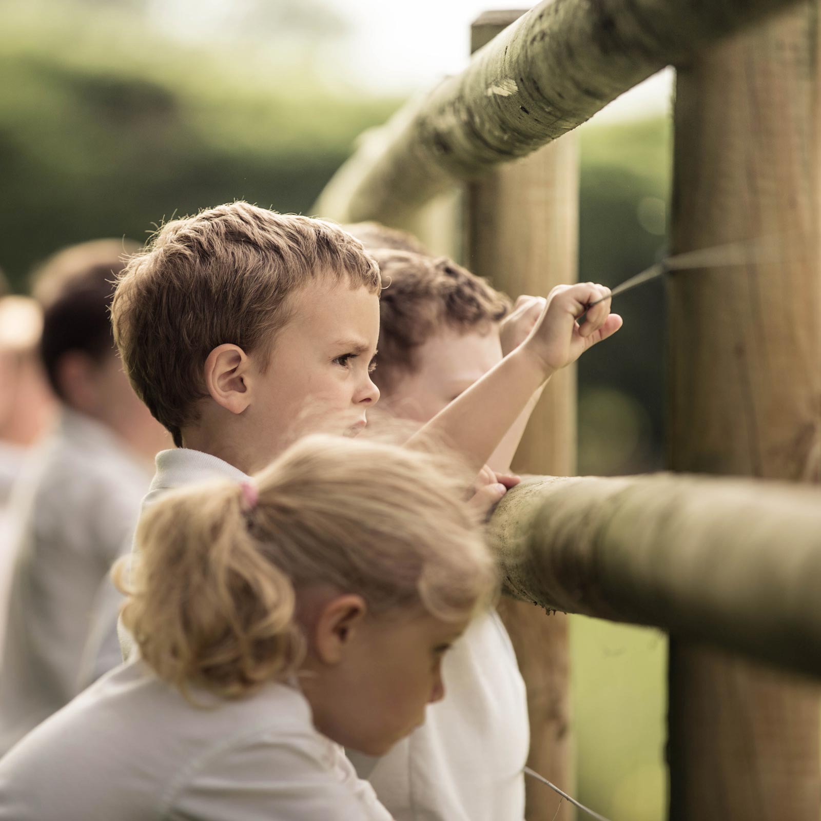 Group of young primary pupils doing PE