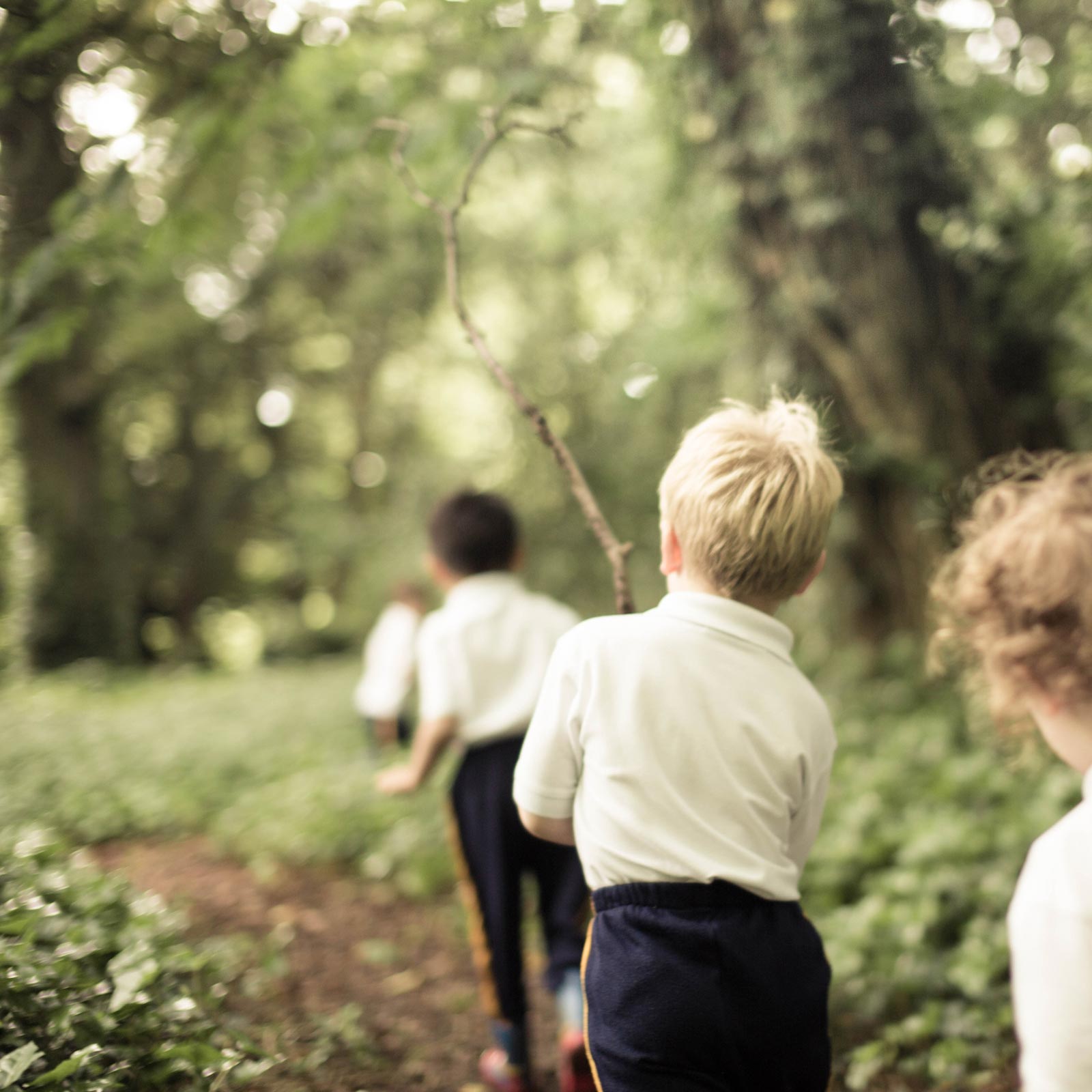 Nursery students adventuring in the woods