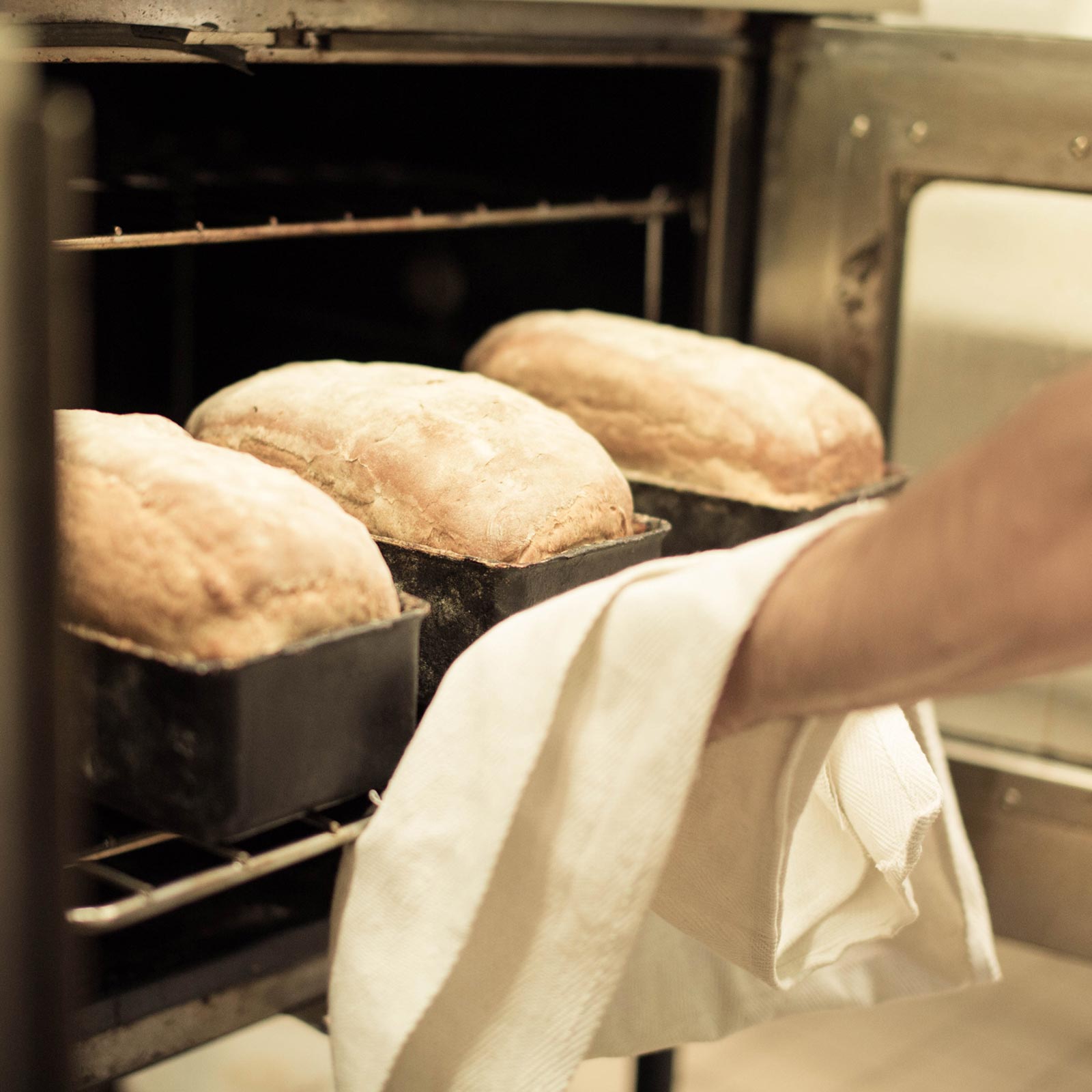 Freshly baked bread in the school kitchen
