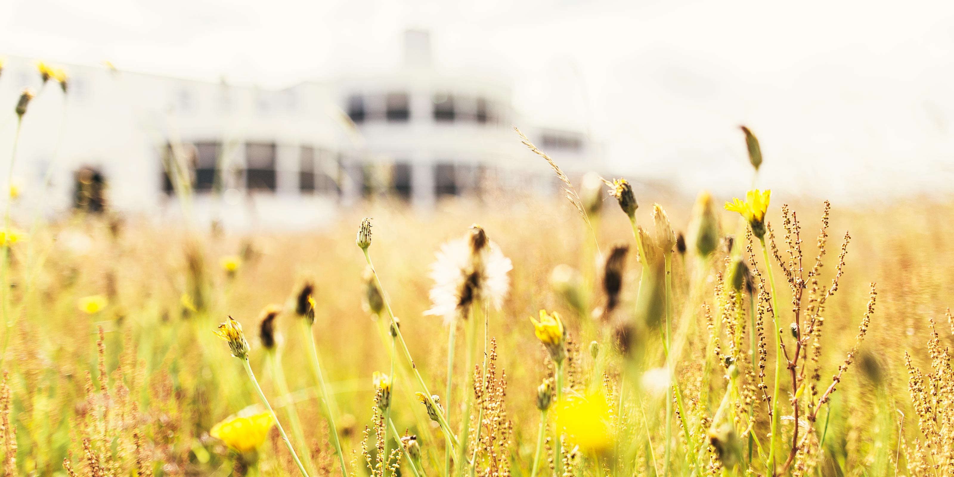 Royal Birkdale Location Photoshoot Outdoor Campaign Photography